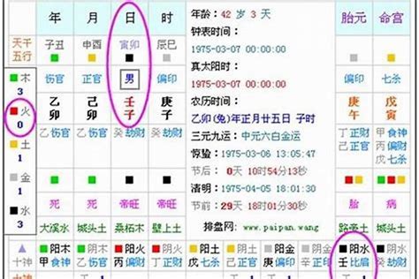 怎麼看命格|八字基礎教學總整理,八字算命入門全攻略（21分鐘理解）